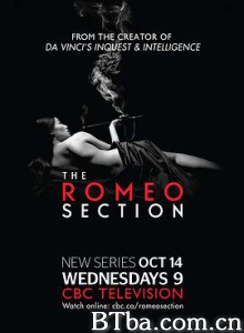 罗密欧间谍/The Romeo Section 罗密欧间谍/The Romeo Section-720p|1080p高清bt种子下载
