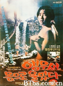 哭泣的鹦鹉-720p|1080p高清bt种子下载