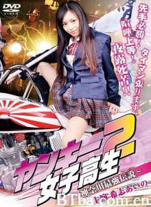 ヤンキー女子高生2 ～神奈川最強伝説～-720p|1080p高清bt种子下载