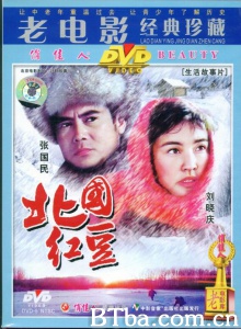 北国红豆 北国红豆-720p|1080p高清bt种子下载
