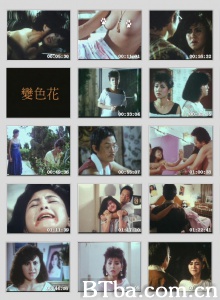 变色花 变色花-720p|1080p高清bt种子下载