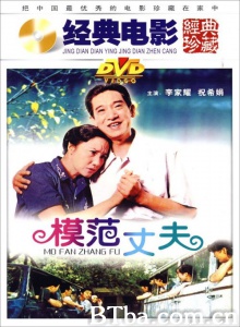模范丈夫-720p|1080p高清bt种子下载