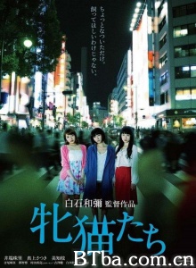 雌猫们 雌猫们-720p|1080p高清bt种子下载