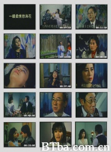 一缕柔情欲海花 一缕柔情欲海花-720p|1080p高清bt种子下载