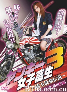 ヤンキー女子高生3 ～埼玉最強伝説～-720p|1080p高清bt种子下载