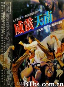威震天南-720p|1080p高清bt种子下载