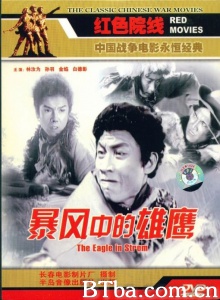 暴风中的雄鹰-720p|1080p高清bt种子下载