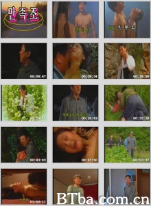 残花泪 残花泪-720p|1080p高清bt种子下载