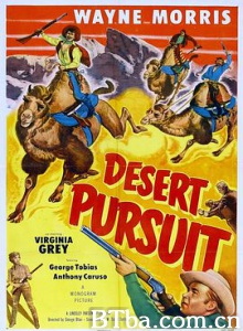 沙漠追逐/Desert Pursuit-720p|1080p高清bt种子下载