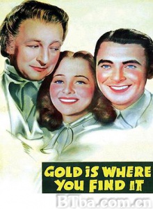 黄金是你找到它的地方/Gold Is Where You Find It-720p|1080p高清bt种子下载