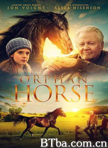 孤马/Orphan Horse-720p|1080p高清bt种子下载