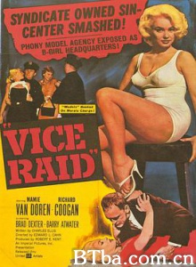 袭击罪/Vice Raid-720p|1080p高清bt种子下载