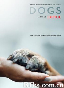 爱犬情深/挚狗伴我行(台)/犬无二心(港)/第一季 Dogs Season 1-720p|1080p高清bt种子下载