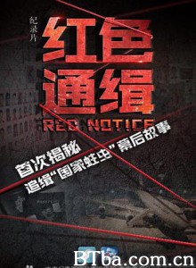 红色通缉/Red Notice 红色通缉/Red Notice-720p|1080p高清bt种子下载