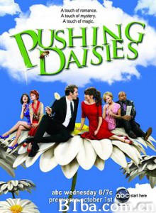 灵指神探/冥侦探艾艾 第一季/ Pushing Daisies Season 1-720p|1080p高清bt种子下载
