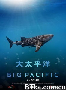 大太平洋 大太平洋-720p|1080p高清bt种子下载