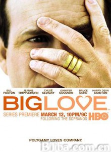 大爱 第一季/Big Love Season 1 大爱 第一季/Big Love Season 1-720p|1080p高清bt种子下载