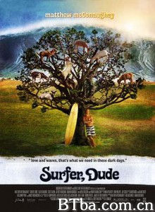 冲浪高手/Dude-720p|1080p高清bt种子下载