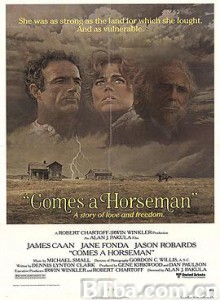 跃马山庄/牧场风云/来了一个骑马人/Comes a Horseman-720p|1080p高清bt种子下载