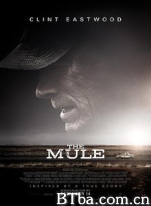 骡子/毒行侠(港)/赌命运转手(台)/The Mule 骡子/毒行侠(港)/赌命运转手(台)/The Mule-720p|1080p高清bt种子下载