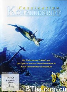 珊瑚礁/Coral Reef 3D: Magic of the Indo Pacific-720p|1080p高清bt种子下载