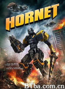 山寨大黄蜂/Hornet 山寨大黄蜂/Hornet-720p|1080p高清bt种子下载