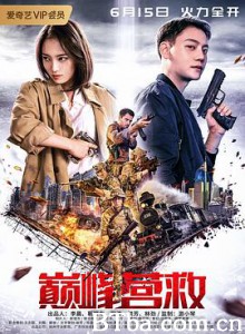 巅峰营救 巅峰营救-720p|1080p高清bt种子下载