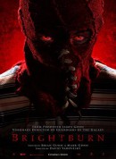魔童/灵异乍现(台)/明亮的燃烧/Brightburn