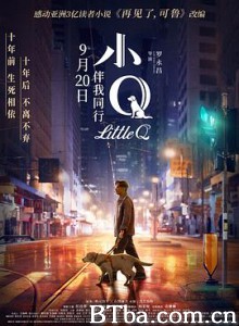 小Q/Little Q-720p|1080p高清bt种子下载