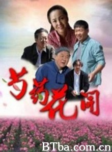 芍药花开 芍药花开-720p|1080p高清bt种子下载