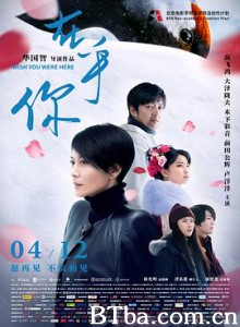 在乎你/我只在乎你/Wish You Were Here-720p|1080p高清bt种子下载