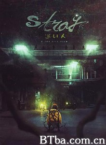 迷途之人/迷い人/Stray-720p|1080p高清bt种子下载