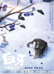 白牙/Croc-Blanc-720p|1080p高清bt种子下载