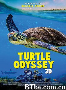 Turtle Odyssey Turtle Odyssey-720p|1080p高清bt种子下载
