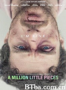 百万碎片/A Million Little Pieces-720p|1080p高清bt种子下载