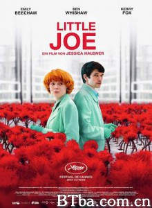 小小乔/Little Joe-720p|1080p高清bt种子下载