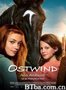 骏马奥斯温4/Ostwind - Aris Ankunft-720p|1080p高清bt种子下载