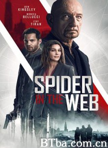 网中蜘蛛/网中蛛/Spider In The Web-720p|1080p高清bt种子下载