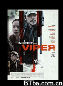 继任蝰蛇/Inherit the Viper-720p|1080p高清bt种子下载