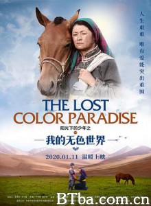 阳光下的少年之我的无色世界-720p|1080p高清bt种子下载