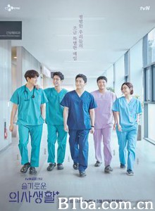 机智医生生活/슬기로운 의사생활-720p|1080p高清bt种子下载