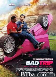 恶搞之路/Bad Trip-720p|1080p高清bt种子下载