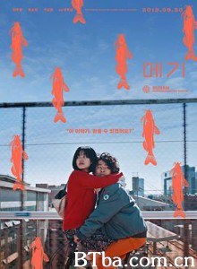 鲶鱼美琪/一条鲶鱼救地球(台)/鲶鱼/메기-720p|1080p高清bt种子下载