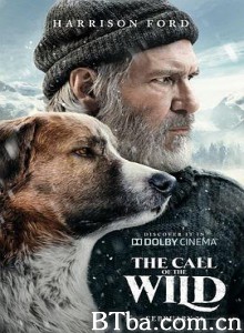 野性的呼唤/荒野的呼唤/极地守护犬(港/The Call of the Wild-720p|1080p高清bt种子下载