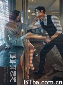 夫妻的世界/부부의 세계-720p|1080p高清bt种子下载
