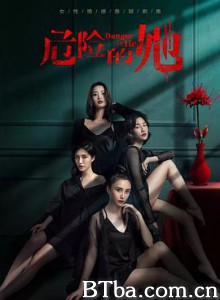 危险的她 危险的她-720p|1080p高清bt种子下载