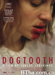 狗牙/犬齿之家(台)/非普通教欲(台)/Κυνόδοντας-720p|1080p高清bt种子下载