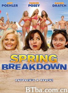 春假一团糟/青春趴趴走(台)/Spring Breakdown-720p|1080p高清bt种子下载