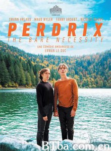 佩尔德利/Perdrix-720p|1080p高清bt种子下载