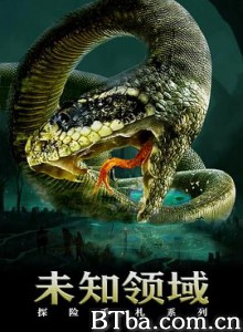 探险手札之未知领域/探险手札/Exploration of continued uncharted territory-720p|1080p高清bt种子下载